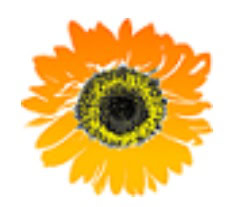 An illustration of an orange and yellow daisy-like flower with a dark center.