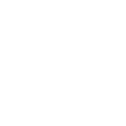 White background with the text "WALL STREET JOURNAL" centered in all capital letters, rendered in a white, barely visible font.